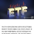'달러 유출' 서학개미 탓했는데…국내상장 美ETF가 진짜 주범 이미지