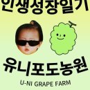 유니포도농원