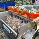 천북굴단지 이미지