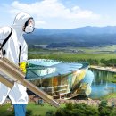 비상태권도 이미지