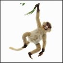 경희제일한의원 이미지