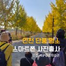 읍면 평생학습 프로그램쉽게 배우는 스마트폰 | 인천 단풍명소 스마트폰 사진 출사 서구평생학습관 프로그램 출강