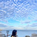 투썸플레이스 장림점 | 🌊 부산 1박 2일 여행 2일차 코스! 부네치아부터 청사포, 용궁사까지 알짜배기 정복기