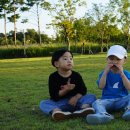 운정건강공원 이미지