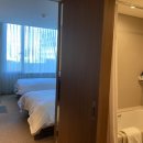 롯데시티호텔 명동 이미지