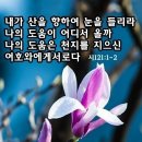 하늘보라 이미지