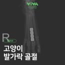 비바동물병원 이미지