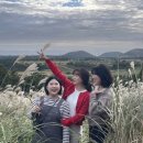 라비스테이 이미지