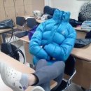 맘 김밥 이미지