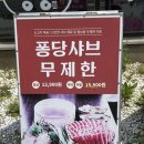 [대전 봉명동] 봉명동무한리필 봉명동샤브샤브 내마음도 퐁당 퐁당샤브샤브🧡(솔찍후기)