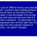 치성농장 이미지