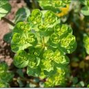 옥산농원 이미지