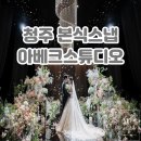 청주 본식 스냅촬영 아모르 제휴 아베크스튜디오 계약 후기