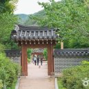 사기막골의하루