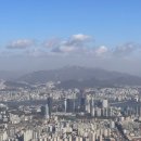 파크원 제주 | 2025 아이브 콘서트 SHOW WHAT I AM 후기🩷