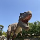 대구 가산수피아 알파카 공룡 황토길 구경 칠곡 아이랑 갈만한곳
