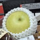 요나고고릴라