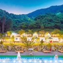 숲스토리야영장 이미지