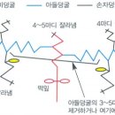 동팔이네 이미지