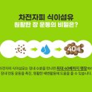 트윈스킨 이미지