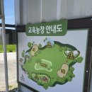 강릉아기동물농장 | 강릉 아기동물농장 후기｜아이와 가볼만한곳,무료 먹이주기 체험까지 내돈내산