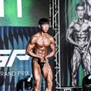 자연의 움직임 이미지