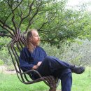 자연의 의자 이미지