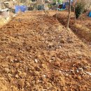 대현농장 이미지