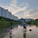 다전어린이집 이미지