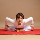 국제기혈도아카데미