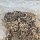 대동그린코아상가 이미지