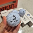 모닝스크린골프장 | 연습용골프공 추천 캣캣 X12피스 골프공 가성비 후기