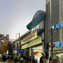 코끼리 왕만두 | 대전 중앙시장 야시장 솔직후기 스모프 치킨 코끼리 왕만두 대전 맛집 대전 가볼만한곳 다녀왔어요👀