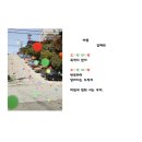 2024년 D-54 : 잊지 못할 또 하나의 추억