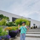 용산-서빙-1842 | 국립중앙박물관 전시 아이와 영국내셔널갤러리 명화전 관람