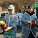 메디사랑 이미지