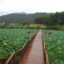 대야리(대실) 이미지