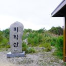 반곡교 Daum카페