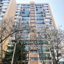 압구정-205 이미지