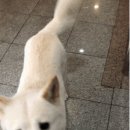 뭉쓰네일