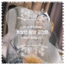 스튜디오이딴 | 안양 과천 애기사진 트렌디한 컨셉사진 찍어봤쥬