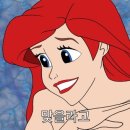 [아기돌잔치]시엠프레당진점 솔직후기