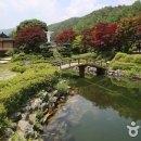 박달재자연휴양림매점