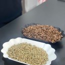 커피바리스타2급 | 커피의 본질을 배운 시간, 안산바리스타학원 로스팅 2급 수업 후기