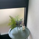 소소한 하룻밤 이미지