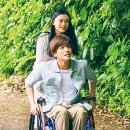 (주)완벽한우리들
