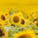 인근농장 이미지