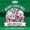 초코약국 이미지
