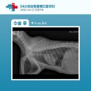 성심동물의료센터 이미지