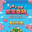 가좌1-05-063 | 광주근교 2026 고창벚꽃축제 행사 장소 일정 주차 정보 지난해 축제 참고해서 다녀오세요